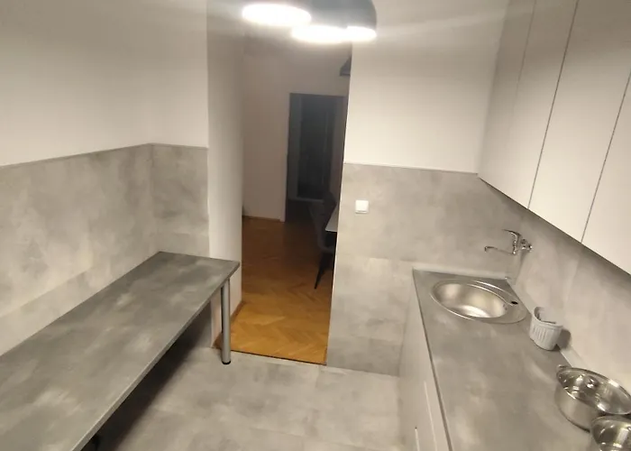 Gigabit High-speed Internet Modern 公寓 斯科普里